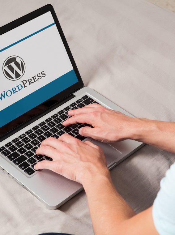 Wordpress CMS