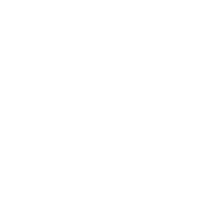 Aussie Natural Logo