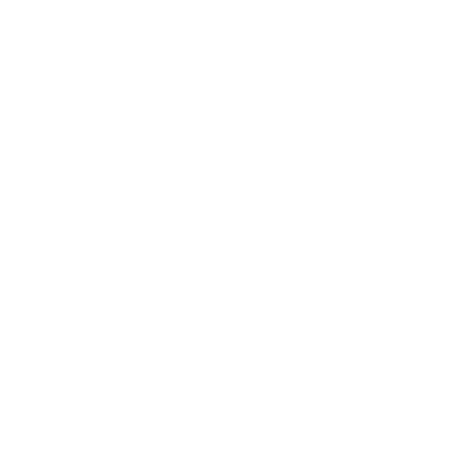 City Subaru Logo