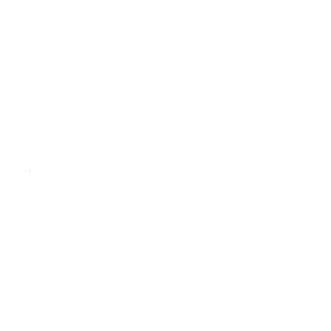 Developwise Logo