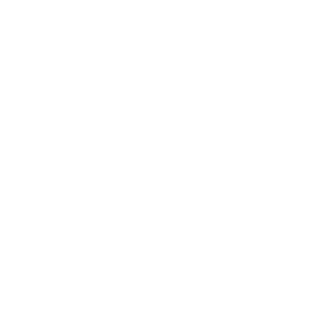 Heron Ceilings Logo